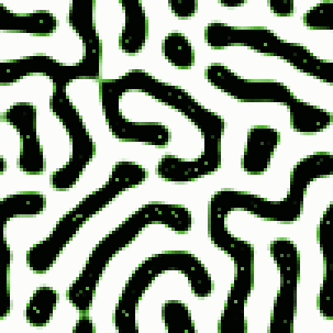Turing Patterns in 2D preview image