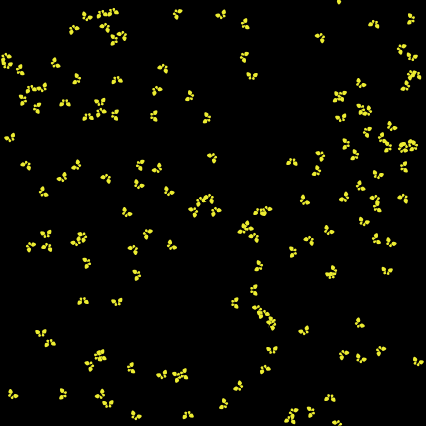 Fireflies Model - BehaviorSearch preview image