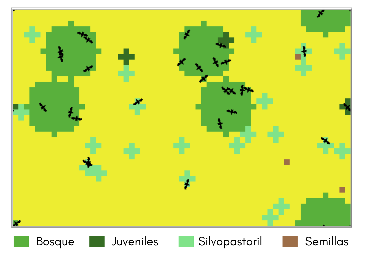 Seed dispersal by bats in restoration and deforestation scenarios  preview image