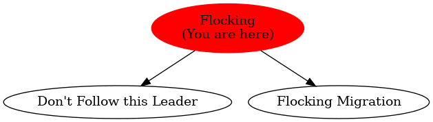 Graph of models related to 'Flocking' 