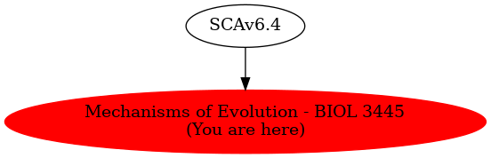 Graph of models related to 'Mechanisms of Evolution - BIOL 3445' 