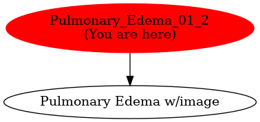 Graph of models related to 'Pulmonary_Edema_01_2' 