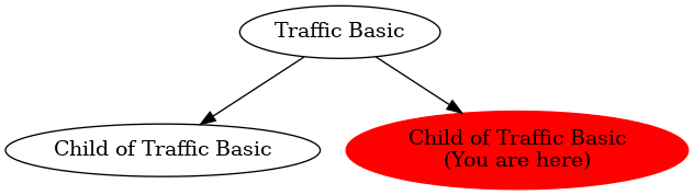 Graph of models related to 'Child of Traffic Basic' 