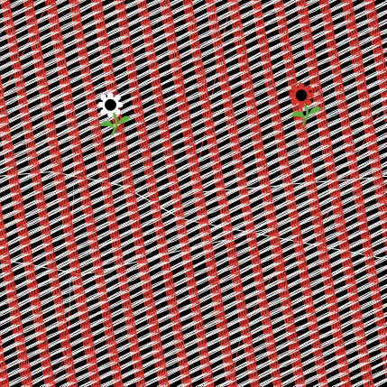 primermodelo preview image