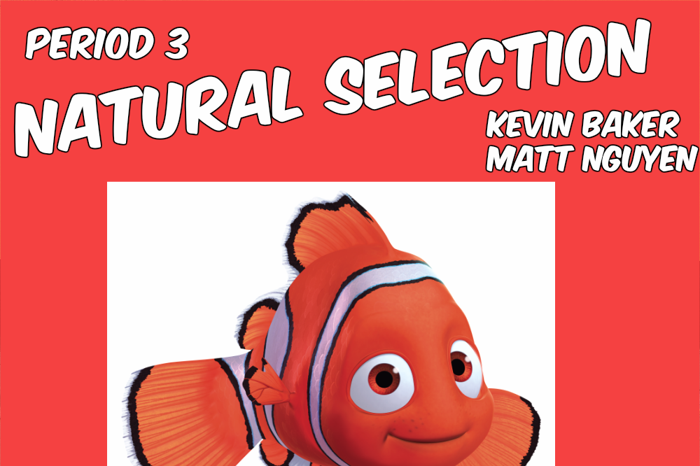 MIHS Fish Hunt KB and MN per 3 preview image
