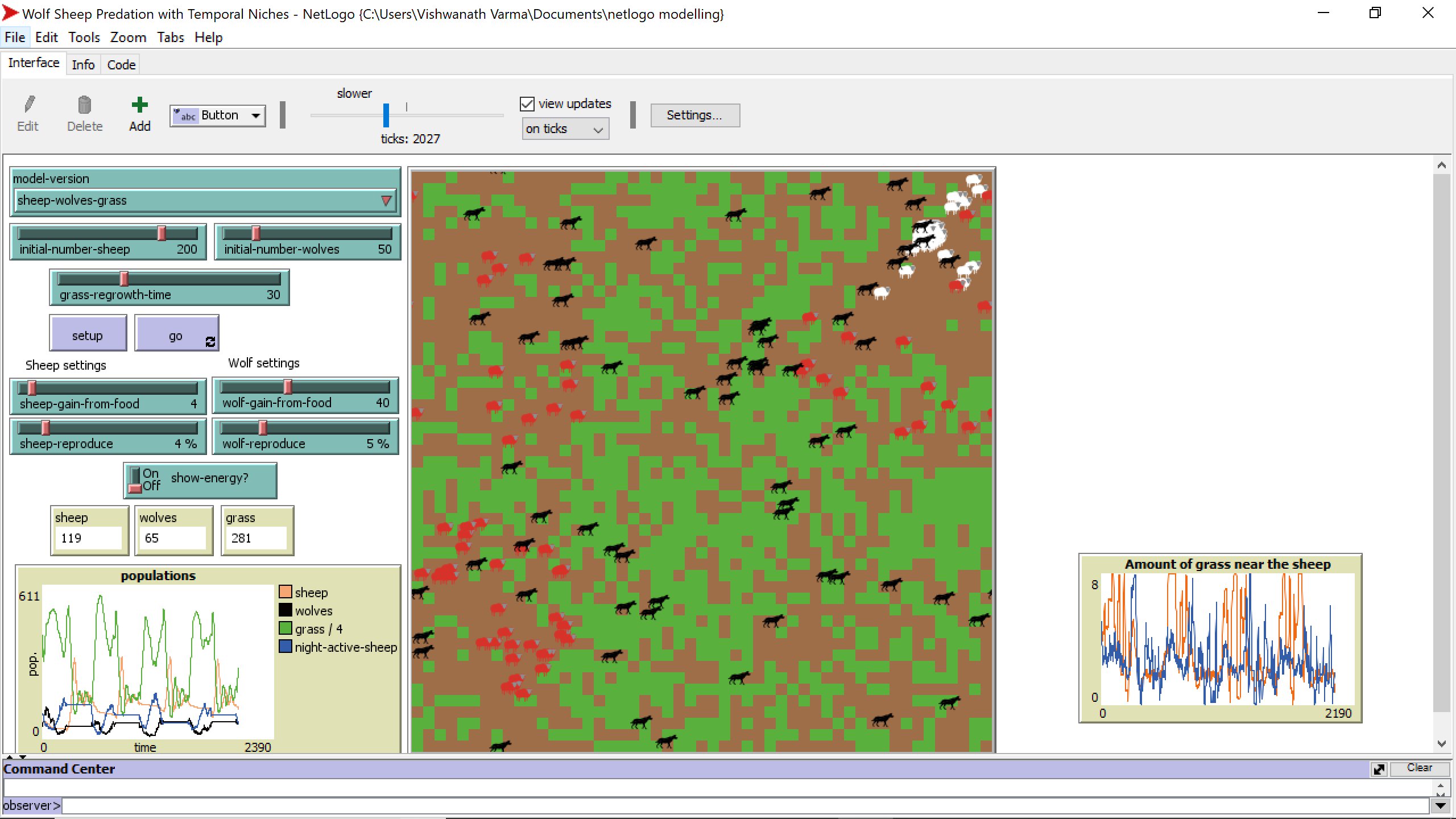 Wolf Sheep Predation with Temporal Niches preview image