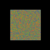 Skin microbiome and Shine coli preview image