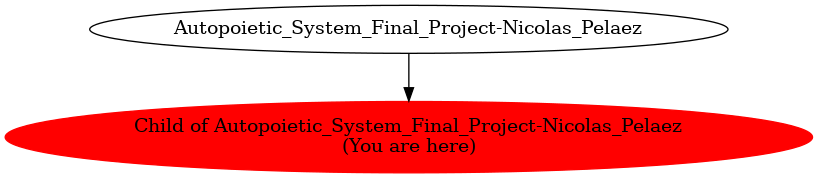 Graph of models related to 'Child of Autopoietic_System_Final_Project-Nicolas_Pelaez' 