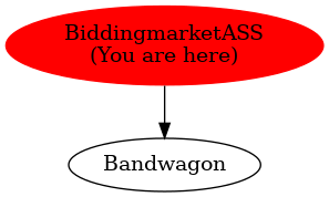 Graph of models related to 'BiddingmarketASS' 